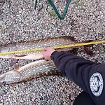 Kwatera prywatna Oaza Nad Krutynią *