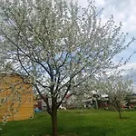 Oaza Nad Krutynia Ukta