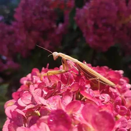 Oaza Nad Krutynia Ukta