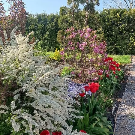 Oaza Nad Krutynia Alloggio in famiglia Ukta