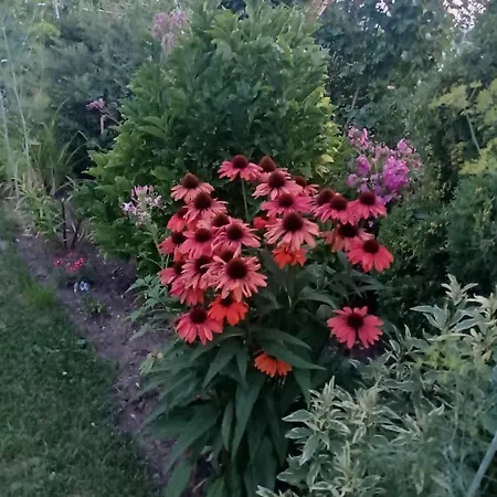 Alloggio in famiglia Oaza Nad Krutynia *