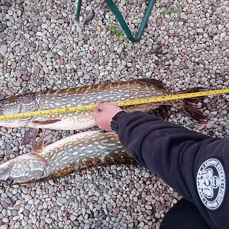 Alloggio in famiglia Oaza Nad Krutynia *