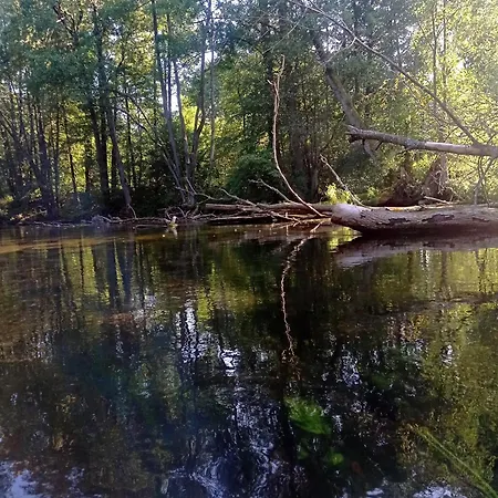 Oaza Nad Krutynia