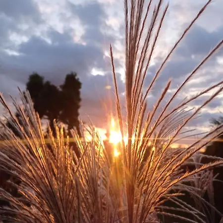 Oaza Nad Krutynia Alloggio in famiglia