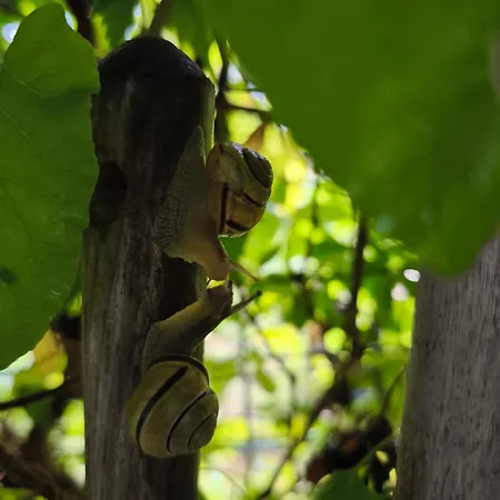 Alloggio in famiglia Oaza Nad Krutynia *