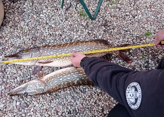 Homestay Oaza Nad Krutynia *